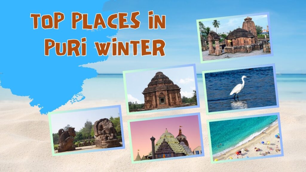 Places to Visit in Puri