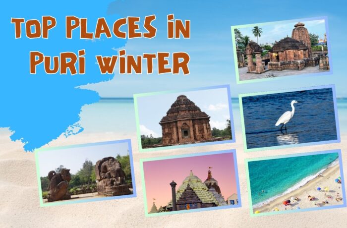 Top 10 Places to Visit in Puri During the Winter Season