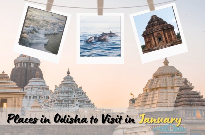 Top 6 Tourist Places in Odisha to Visit in January!