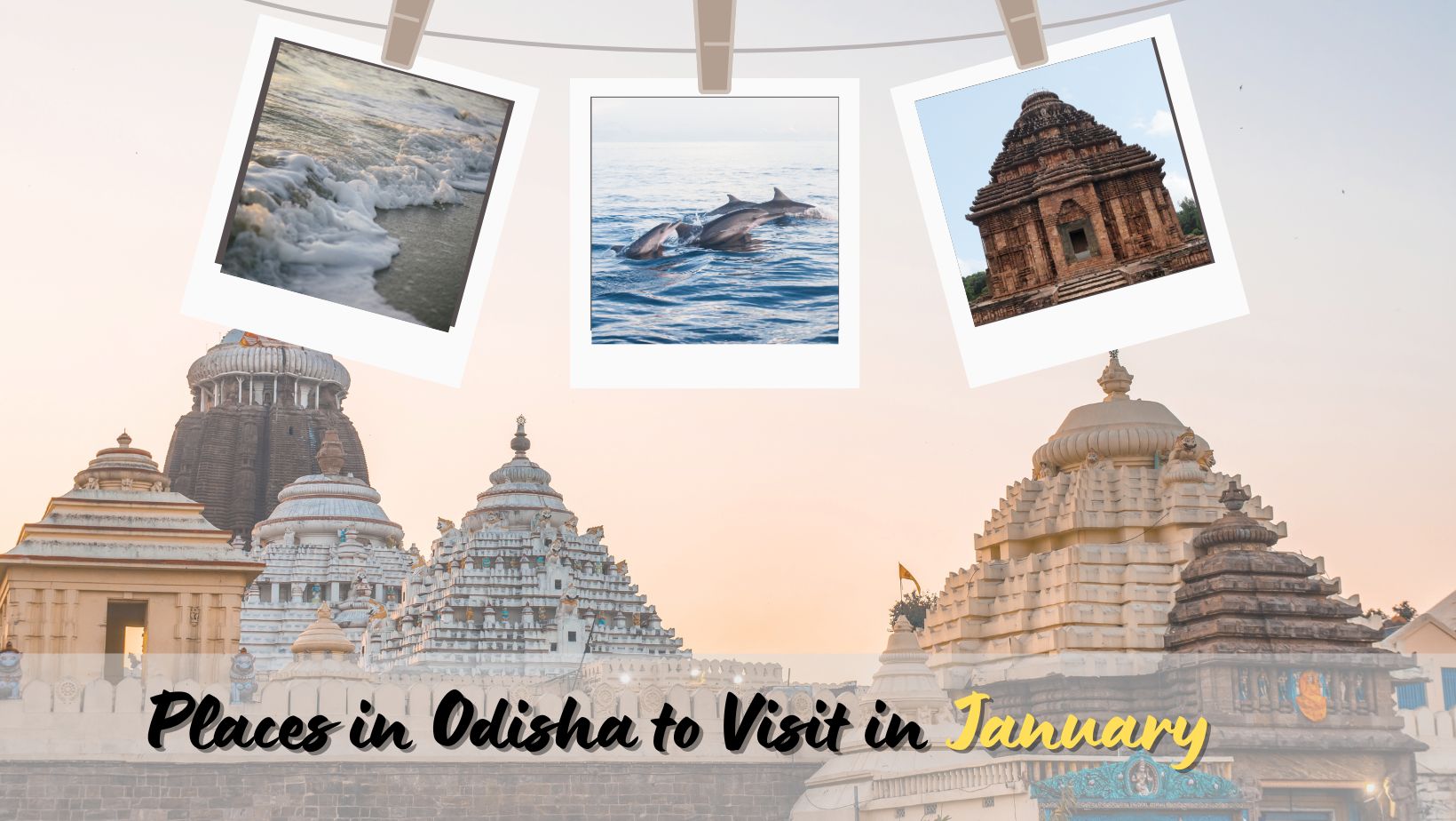 January Trips Puri