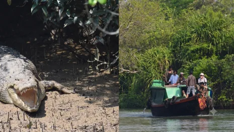Bhitarkanika National Park
