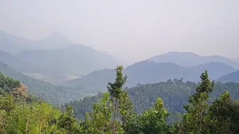 Daringbadi