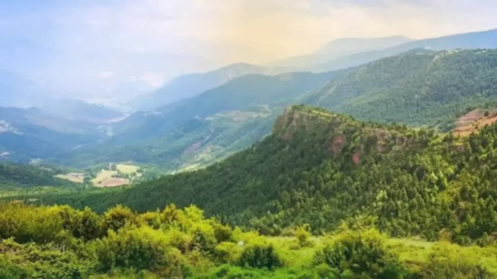 Daringbadi nature