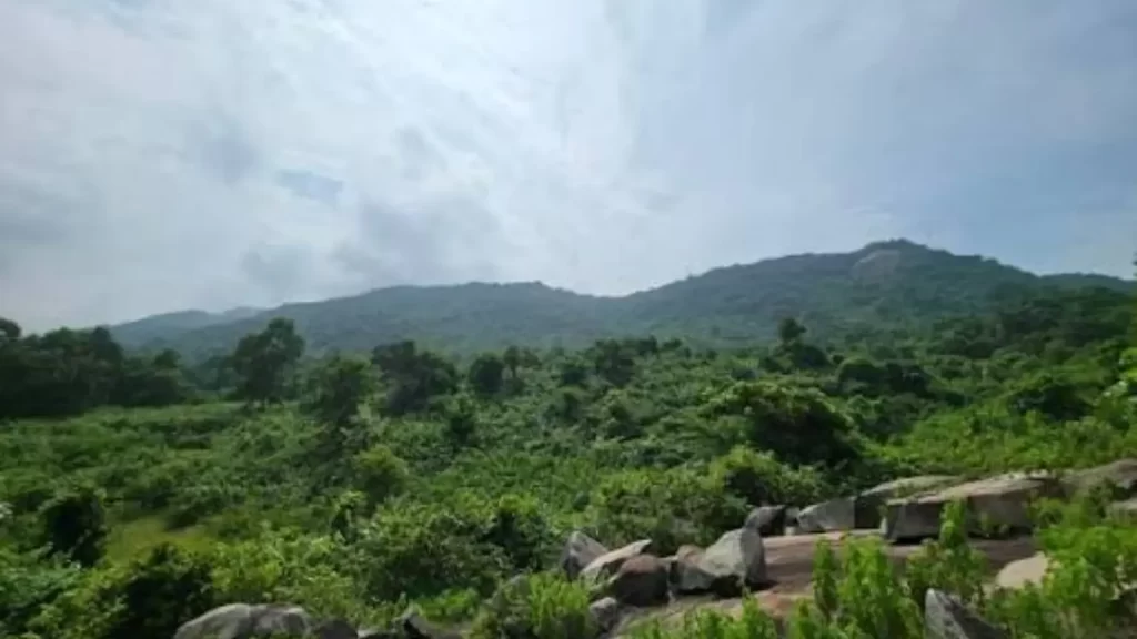 Baleswar Feels Different
