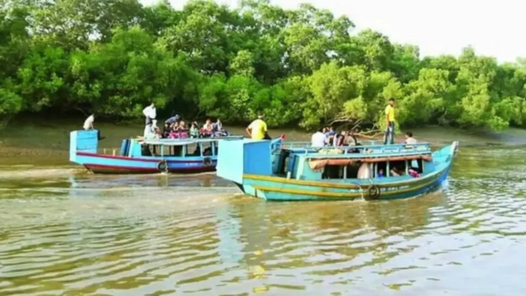 Visitors enjoying Bhitarkanika boat safari safely