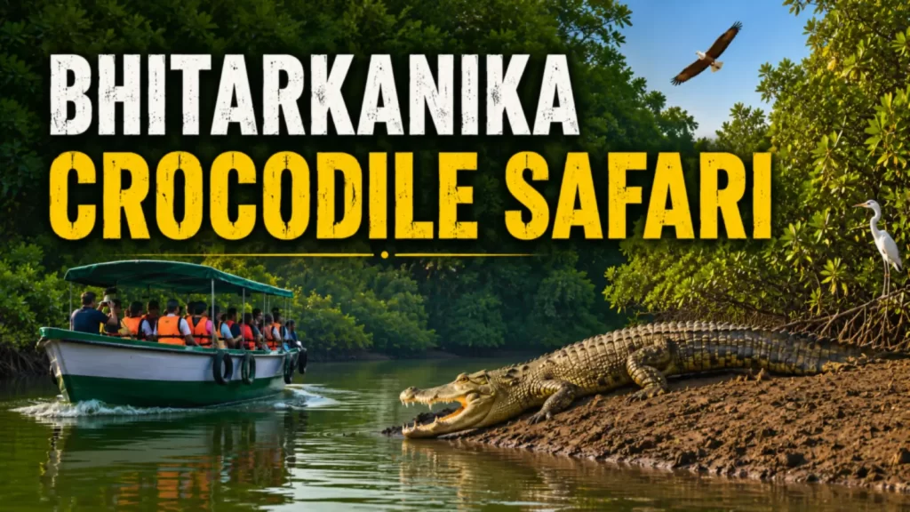 Bhitarkanika Crocodile Safari boat ride through mangrove forest in Odisha