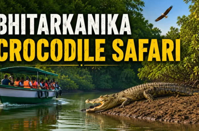 Bhitarkanika Crocodile Safari: A Thrilling Wildlife Adventure in Odisha