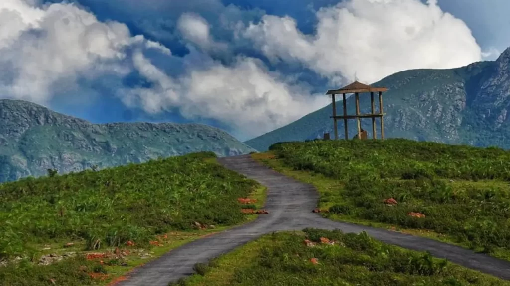 Daringbadi misty hills and pine forest in Odisha