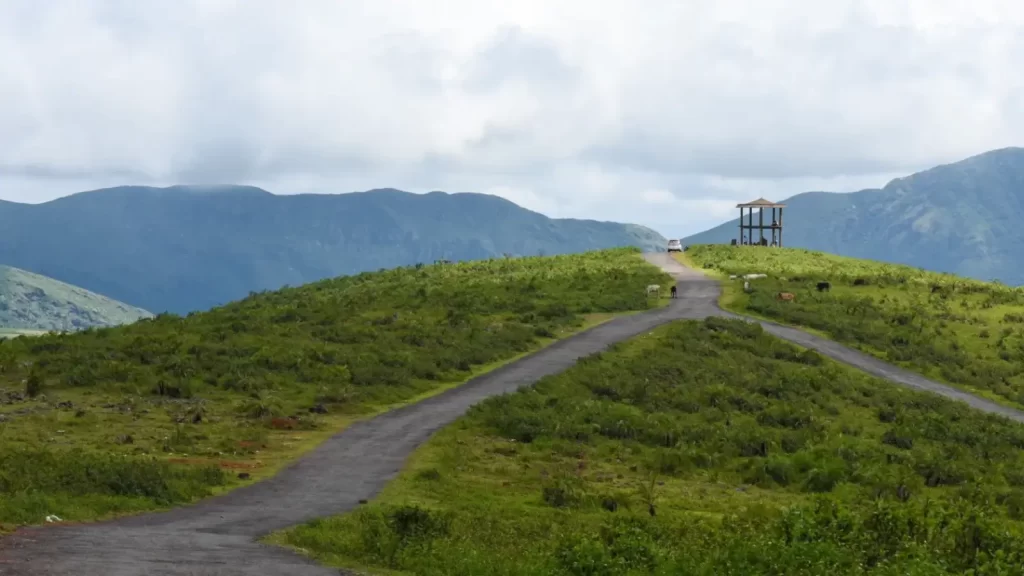 Deomali hills in Odisha during the summer travel season