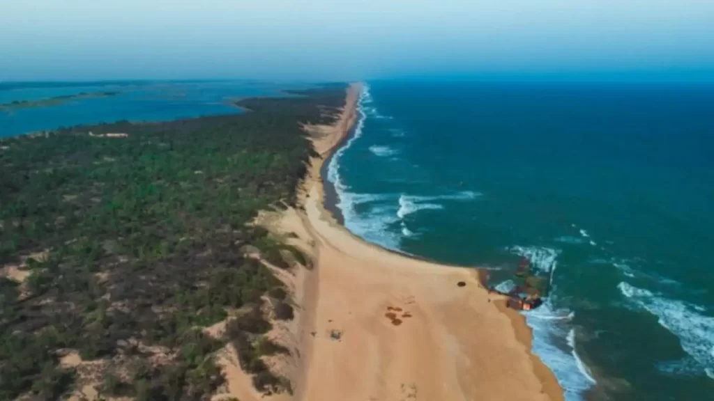 .Habalikhati Beach Bhitarakanika