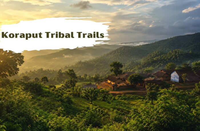 Koraput Tribal Trails: Culture Beyond the Hills