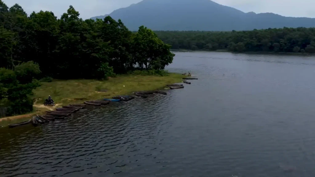 Kuldiha Wildlife Sanctuary surrounded by dense forest in Odisha