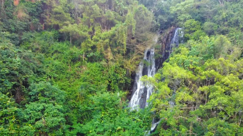 Mandasuru Valley surrounded by green hills and forests in Odisha