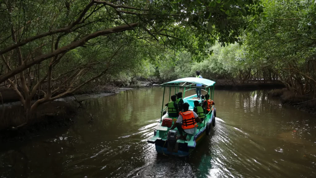 Bhitarkanika mangrove forest and waterways in Odisha