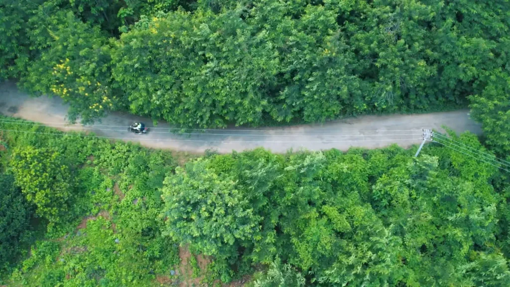 Scenic road trip through Odisha countryside