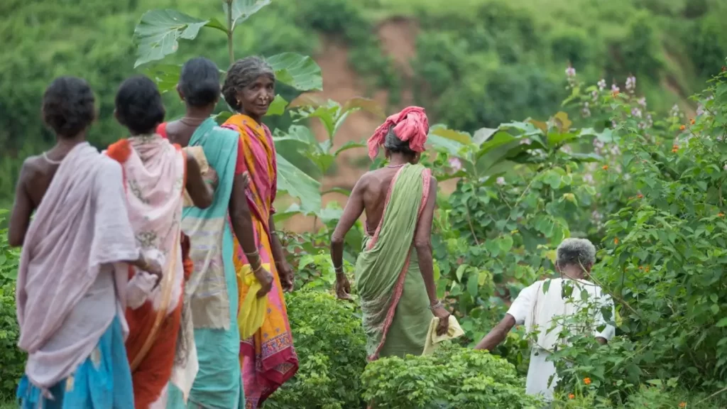 Odisha local culture and traditional village life
