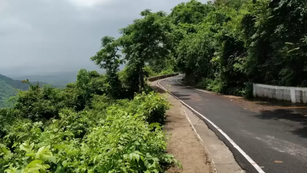 Scenic Odisha road trip route through hills and forests