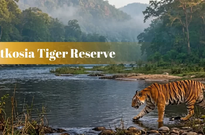 Satkosia Tiger Reserve: A Journey Through Wildlife, Gorge & Mahanadi
