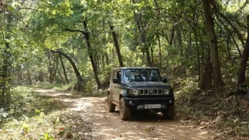 Similipal safari