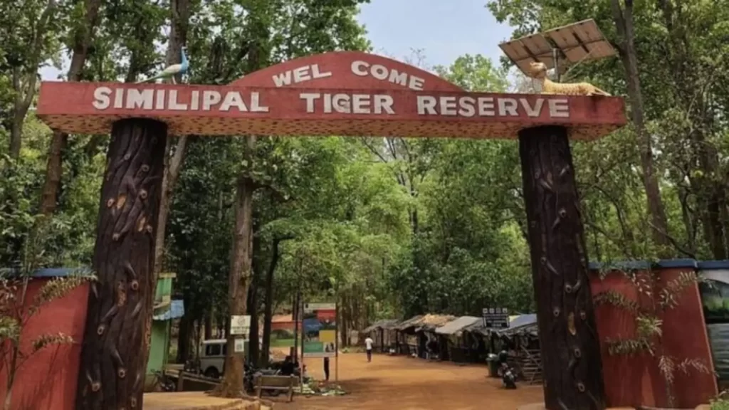 Scenic road leading to Similipal Tiger Reserve