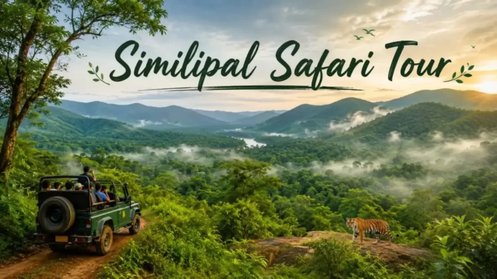 Similipal Safari Tour through the forest of Odisha