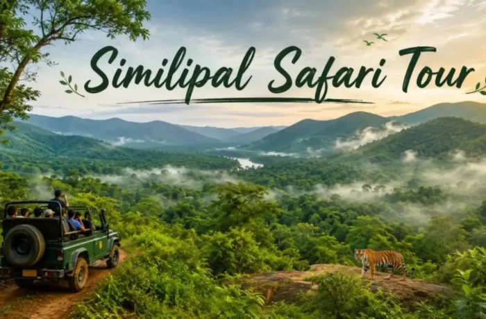 Similipal Safari Tour: Wildlife, Waterfalls & Jungle Adventure