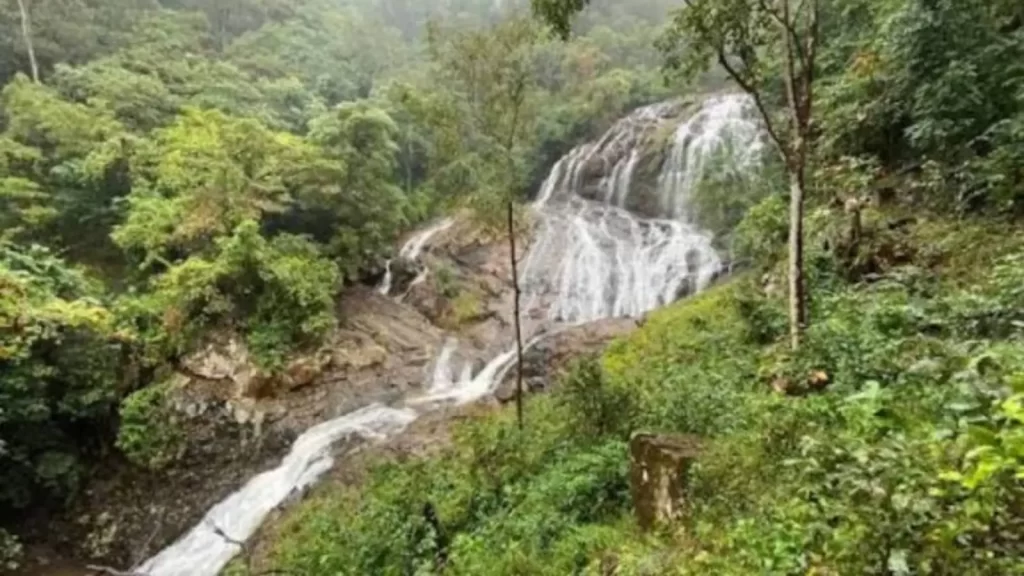 Waterfall surrounded by Similipal forest