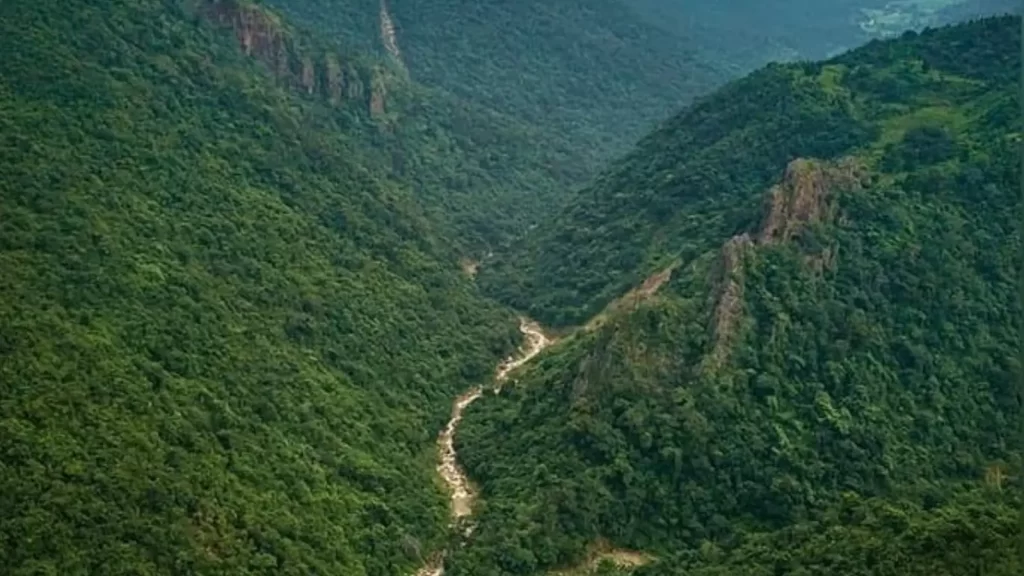 Lush green hills of Odisha during the monsoon season