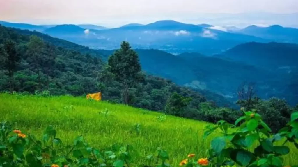 Keonjhar forest and hills Odisha